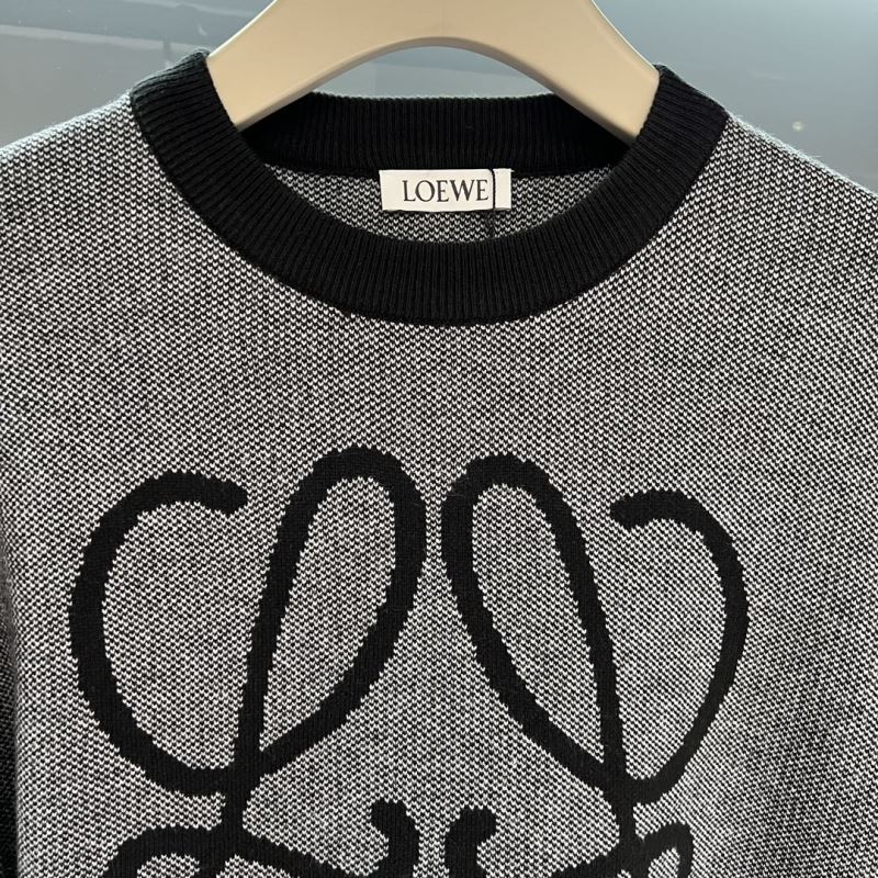 Loewe Sweaters